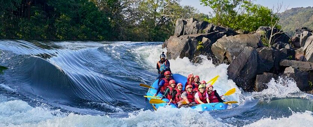 Dandeli