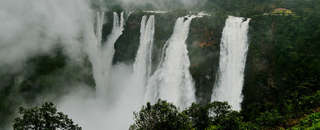 Water Fall Stays